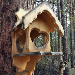 Low angle view of tree against building