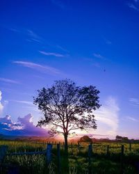 Bare trees on field against cloudy sky