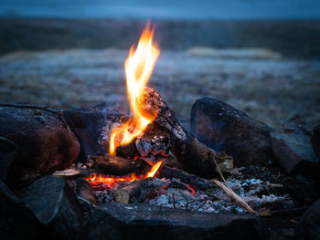 Close-up of fire on rock
