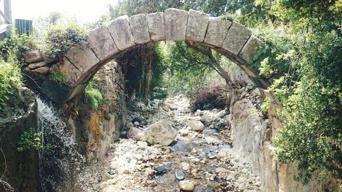 Arch bridge amidst trees in forest