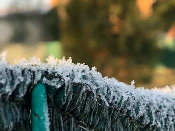 Close-up of frozen water