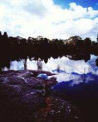 Trees on riverbank against cloudy sky