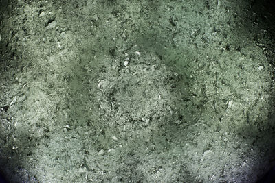 Full frame shot of ground