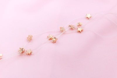Close-up of pink petals on white background