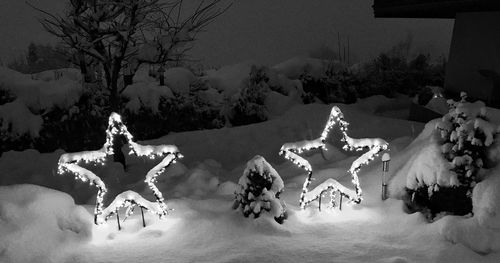 View of christmas tree in snow