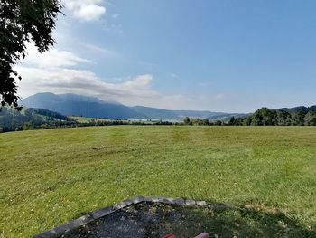 Scenic view of field against sky