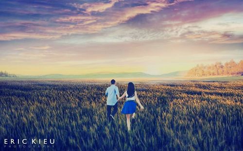 field