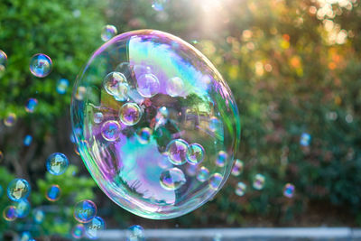 Close-up of bubbles