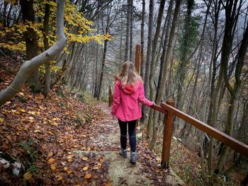 Woman hiking in the woods in autumn