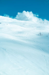 cold temperature