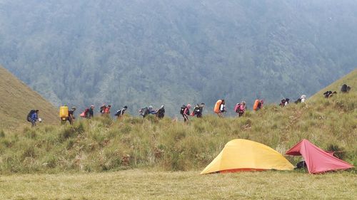 Group of hikers walking on field against mountain