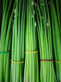 Full frame shot of green vegetables