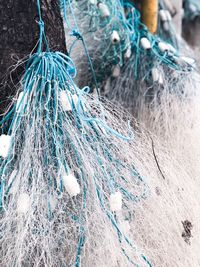 Close-up of fishing net hanging on rope