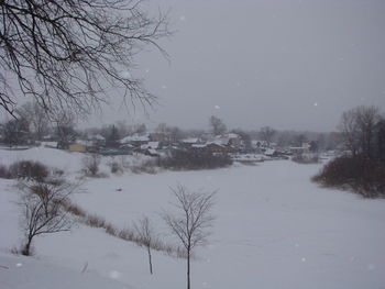 Bare trees on snow covered land against sky
