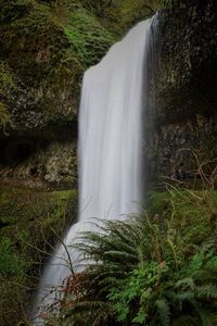 View of waterfall in forest