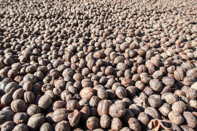 Full frame shot of coffee beans