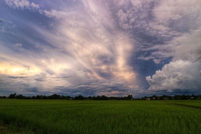 Scenic view of agricultural field against sky