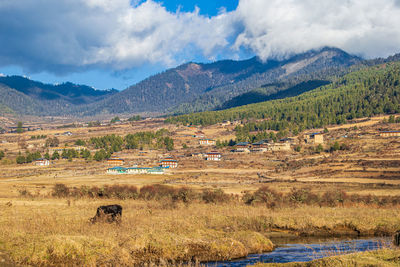 Scenic view of landscape and mountains against sky