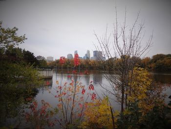 Reflection of trees in lake against sky