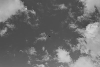 Low angle view of bird flying against sky