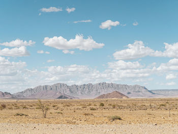 Scenic view of desert against sky