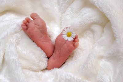 Low section of baby with flower relaxing on bed