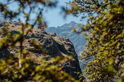 Low angle view of trees and rocks against sky