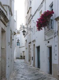 Narrow alley amidst buildings in city