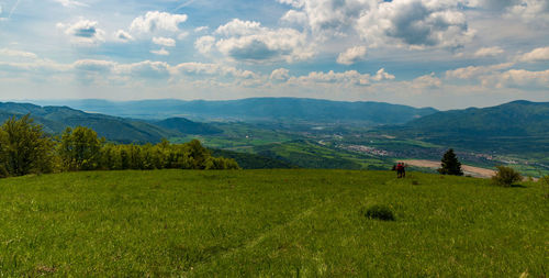 Scenic view of landscape against sky