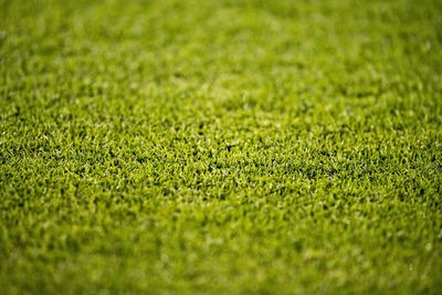 Full frame shot of soccer field
