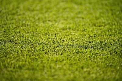 Full frame shot of soccer field