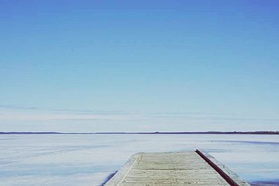 Close-up of tree against blue sky