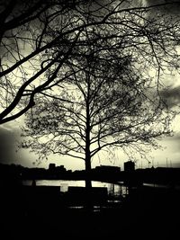 Low angle view of silhouette bare trees against sky