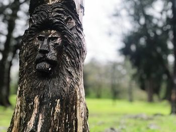 Close-up of elephant on tree trunk in forest