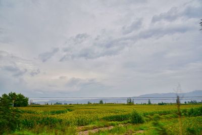 Scenic view of field against sky