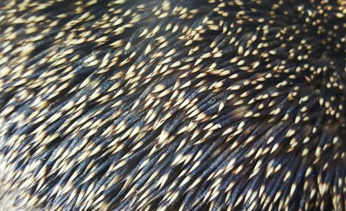 Full frame shot of abstract background