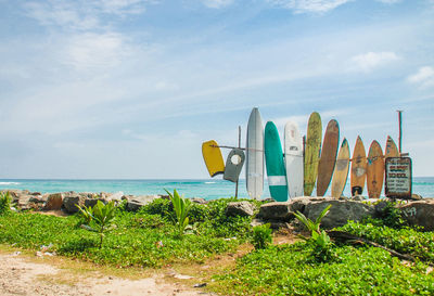 Scenic view of beach against sky