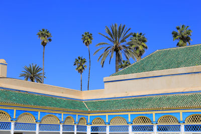 Low angle view of palm trees against blue sky