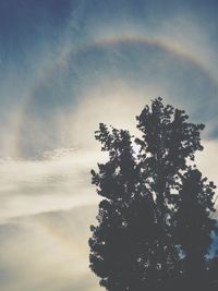 Low angle view of silhouette tree against sky