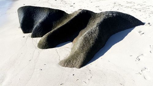 High angle view of sand on beach