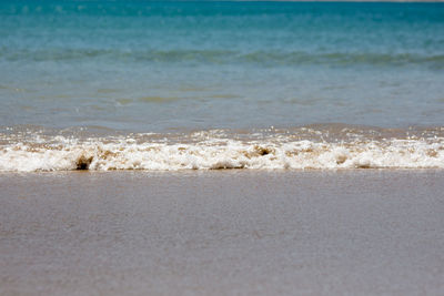 Scenic view of beach