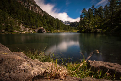 Scenic view of lake with trees in background