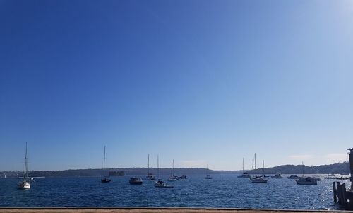 Sailboats sailing in sea against clear sky