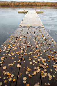 Surface level of dry leaves on footpath by lake