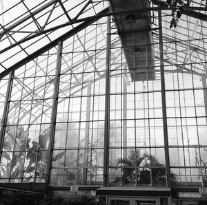 Interior of greenhouse