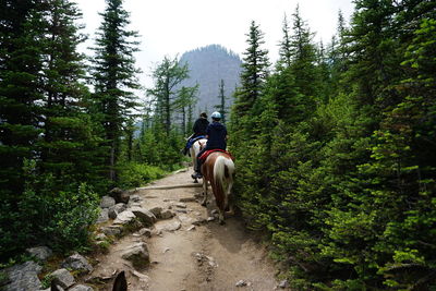 Rear view of people riding motorcycle in forest