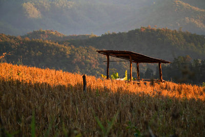 Scenic view of agricultural field against sky during sunset