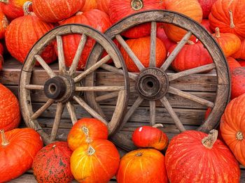 Full frame shot of pumpkins