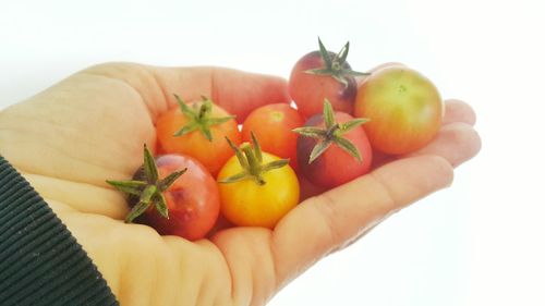 Close-up of hand holding fruit against white background