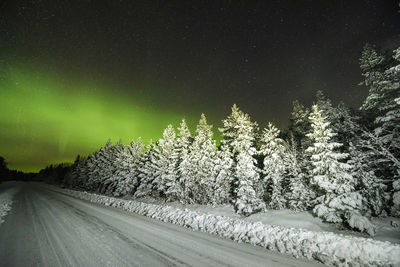 Road amidst trees against sky at night